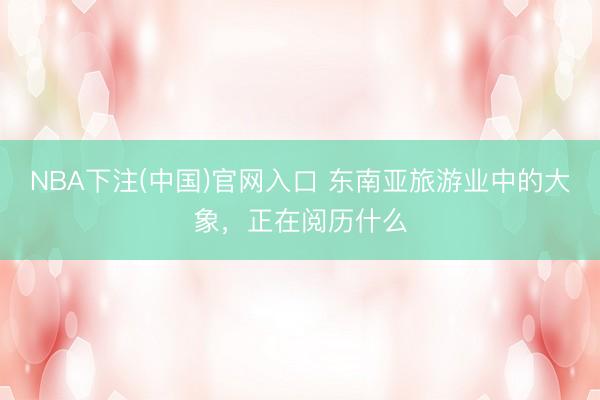 NBA下注(中国)官网入口 东南亚旅游业中的大象，正在阅历什么