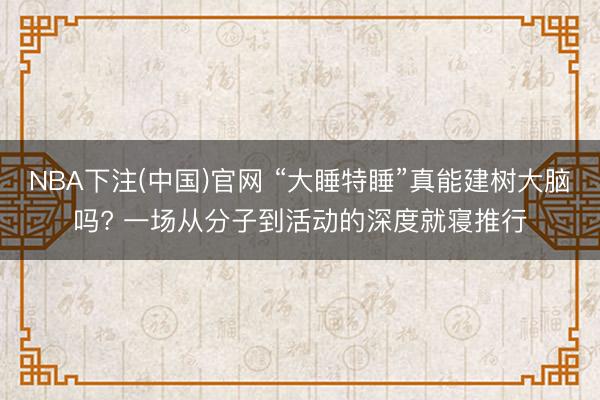 NBA下注(中国)官网 “大睡特睡”真能建树大脑吗? 一场从分子到活动的深度就寝推行