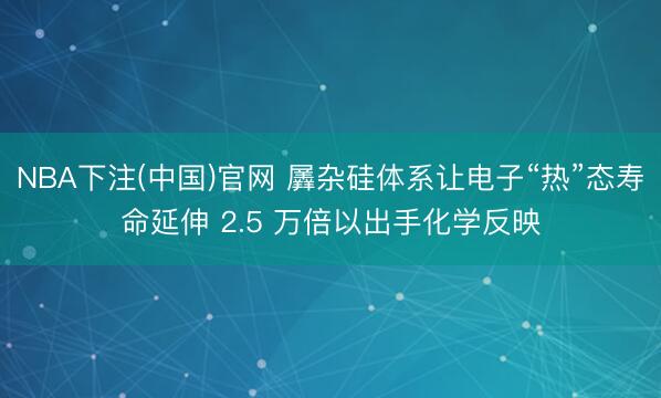 NBA下注(中国)官网 羼杂硅体系让电子“热”态寿命延伸 2.5 万倍以出手化学反映
