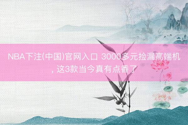 NBA下注(中国)官网入口 3000多元捡漏高端机， 这3款当今真有点香了