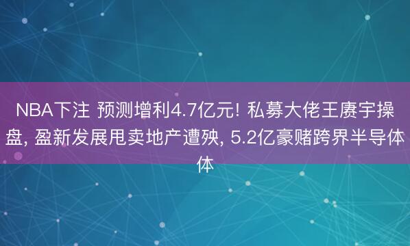 NBA下注 预测增利4.7亿元! 私募大佬王赓宇操盘， 盈新发展甩卖地产遭殃， 5.2亿豪赌跨界半导体