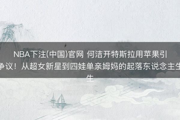 NBA下注(中国)官网 何洁开特斯拉用苹果引争议！从超女新星到四娃单亲姆妈的起落东说念主生