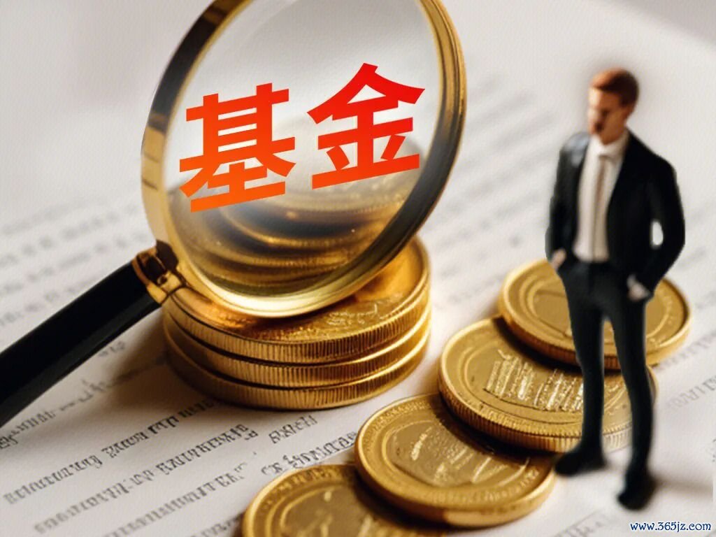 开始：罐头图库